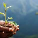 allaha-gore-dunya-onunuzdeki-su-olu-oglaktan-daha-degersizdir-hadisi-188606