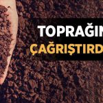 Toprak Bize Neyi Çağrıştırıyor? toprak-bize-neyi-cagristiriyor-