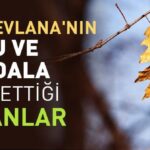 Hz. Mevlanaʼnın Kuru ve Yaş Dala Benzettiği İnsanlar