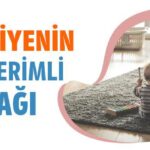 Terbiyenin En Verimli Çağı