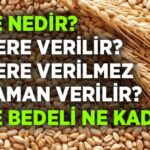 Fıtır Sadakası (fitre) Nedir? fitrenedir-dinisohebti.net