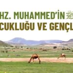 hz-peygamberin-sas-cocuklugu-ve-gencligi-dinisohbeti.net