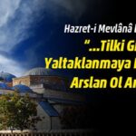 tilki-gibi-yaltaklanmaya-kalkisma-arslan-ol-arslan dinisohbeti.net