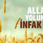 Bakara Suresinin 195. Ayeti Ne Anlatıyor? bakara-suresinin-195-ayeti-ne-anlatiyor-dinisohebti.net