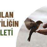 quothicbir-iyilik-karsiliksiz-kalmazquot-hadisi-dimisohbeti.net