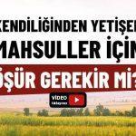 kendiliginden-yetisen-urunler-icin-osur-verilmesi-gerekir-mi dinisohbeti.net