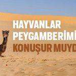 hayvanlar-peygamberimizle-konusur-muydu-Dinisohbeti.net
