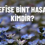 Nefise Binti Hasan Kimdir dinisohebti.net
