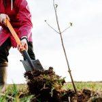 Anne ve Babamın Taleplerini Yerine Getirmek Zorunda Mıyım?