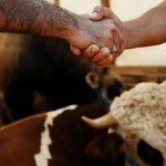 2025 Kurban Bayramı Ne Zaman?