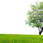 Riyazet Ne Demektir Dinisohbeti.net