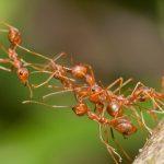 İtikaftan Daha Hayırlı Amel