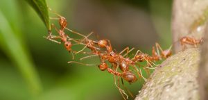 İtikaftan Daha Hayırlı Amel