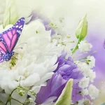 Din Sohbet Sitesi Din Sohbet Sitesi