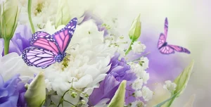 Kadın Ve Erkeğin Görevleri