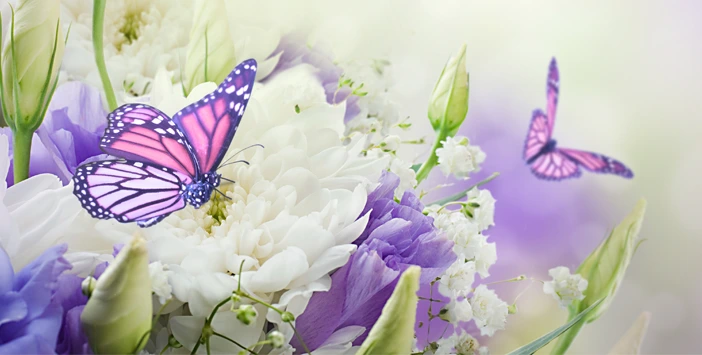 Kadın ve Erkeğin Görevleri Âyet ve Hadisler